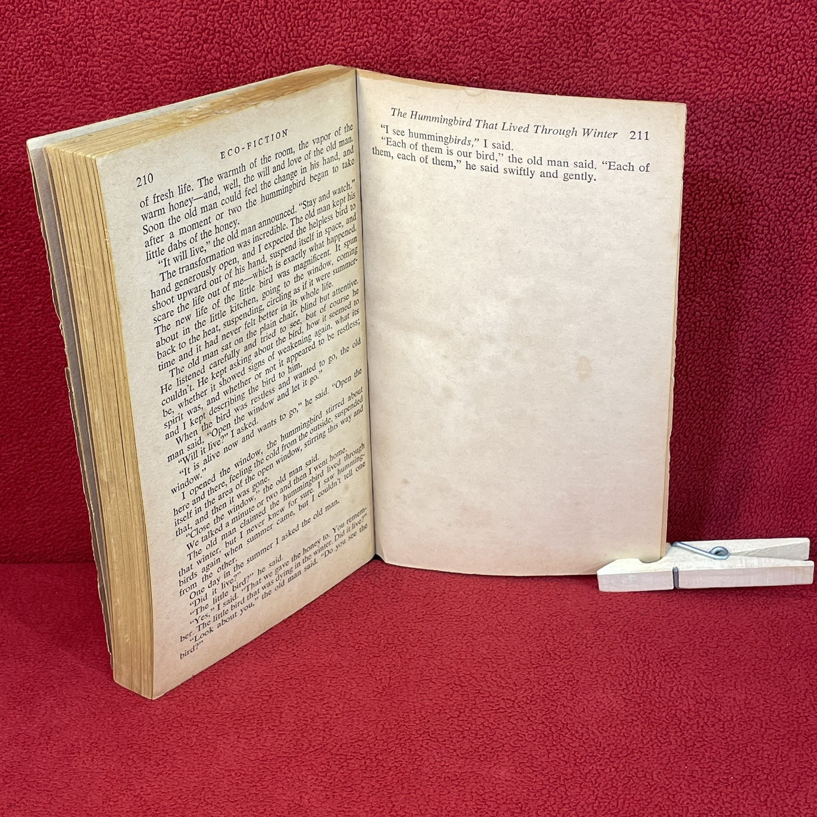 Eco-Fiction Edited By John Stadler Washington Square Press 1971 Paperback Book
