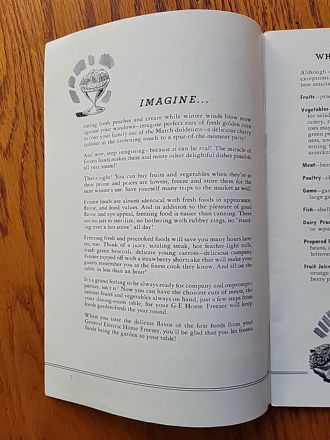 Vtg GE General Electric Consumers Institute Frozen Foods Guide To Prepare Cook