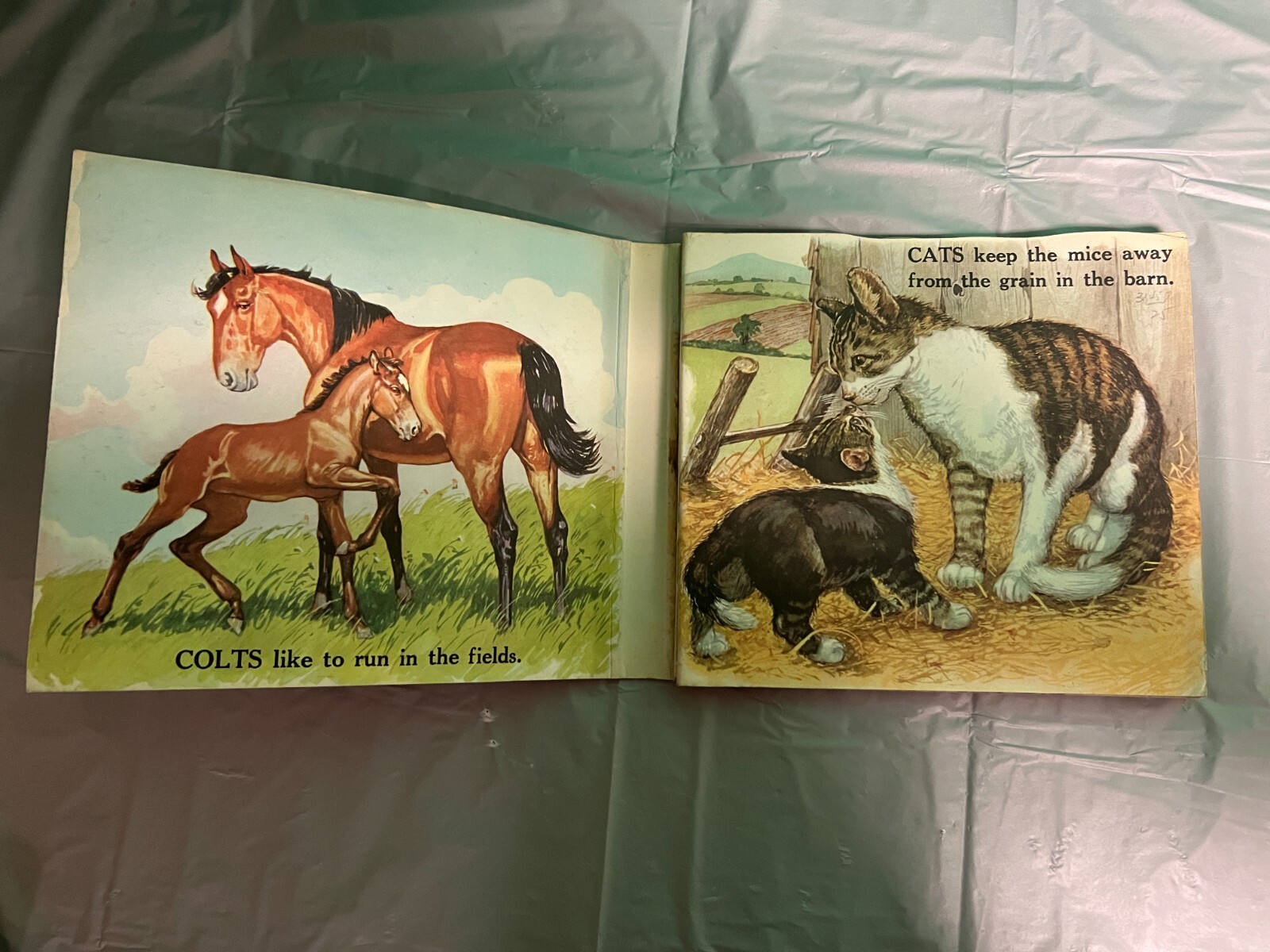 Vintage Children’ Animal books – Barn Panorama/Old MacDonald/Farmer Jones+1