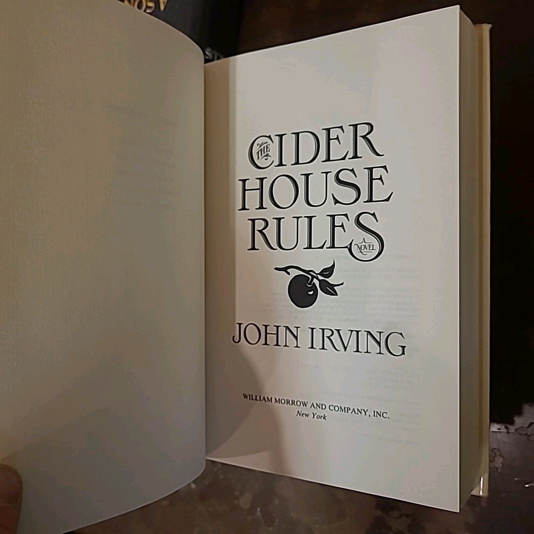 5 John Irving HC/DJ Books CIDER HOUSE RULES Son Circus WIDOW Avenue Fourth VGC