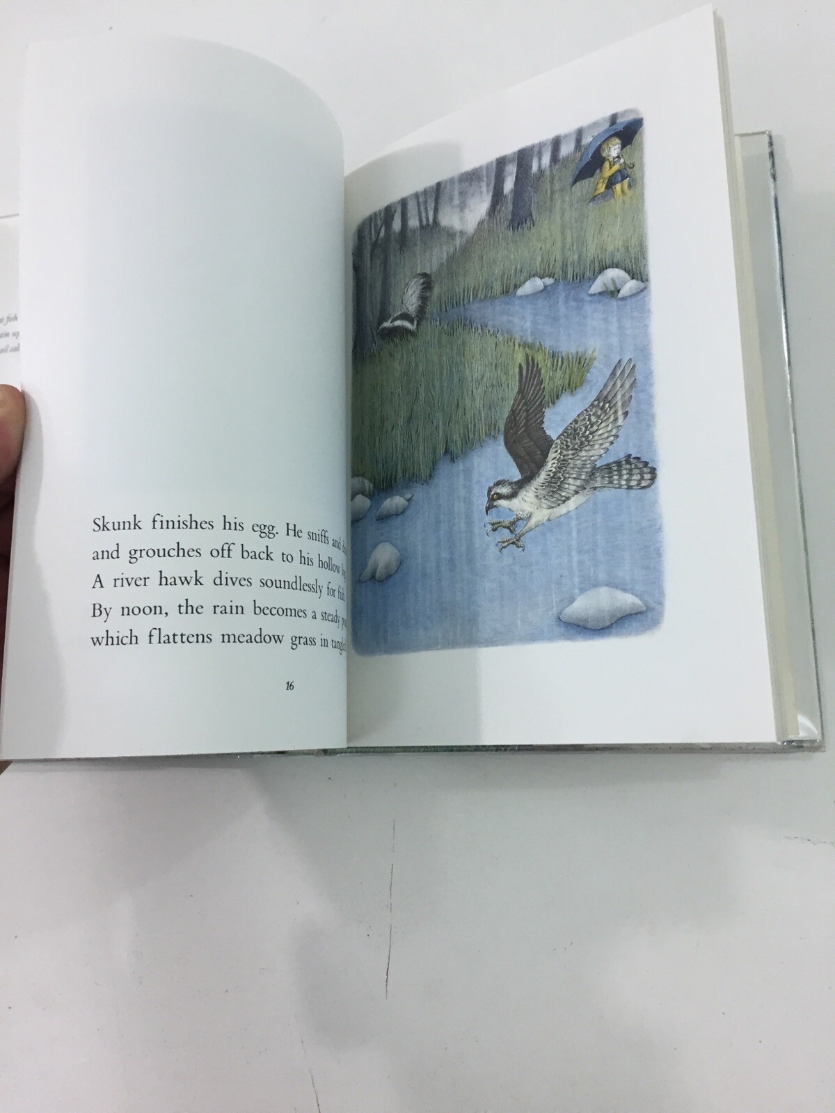 All Wet! All Wet! – James Skofield (Hardcover, 1984, Dust Jacket, 1st Edition)