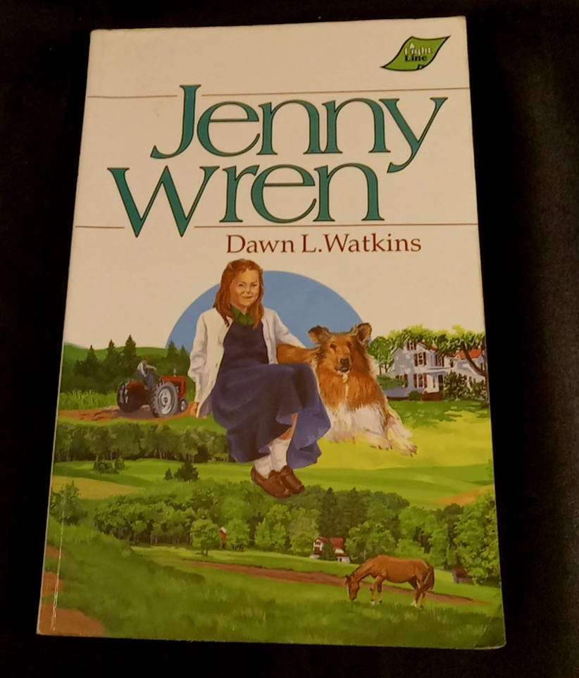 Pulling Together Jenny Wren Medallion Dawn L Watkins BJU Press Booklinks Lot 3