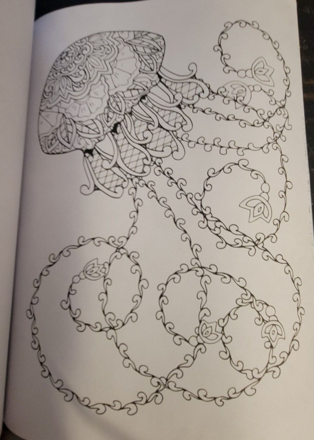 SEASUDE ESCAPES Adult Coloring Book With 62 Prints Ready To Color Relaxing Calm