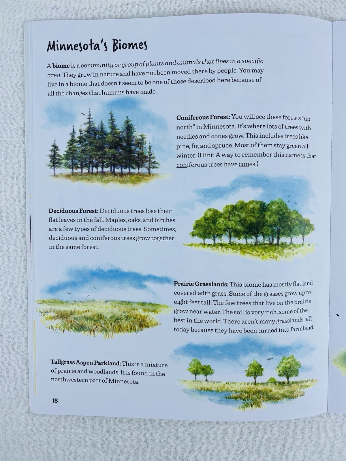 Making Minnesota – A Kids Activity Book. 45 Pages Paperback by Patricia Bauer