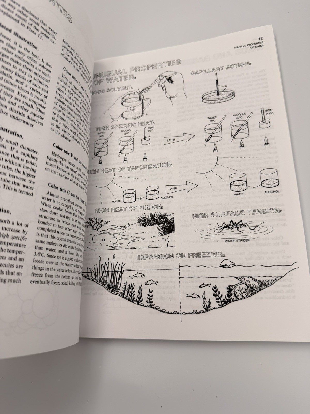 NEW The Biology Coloring Book Robert D. Griffin HarperResource