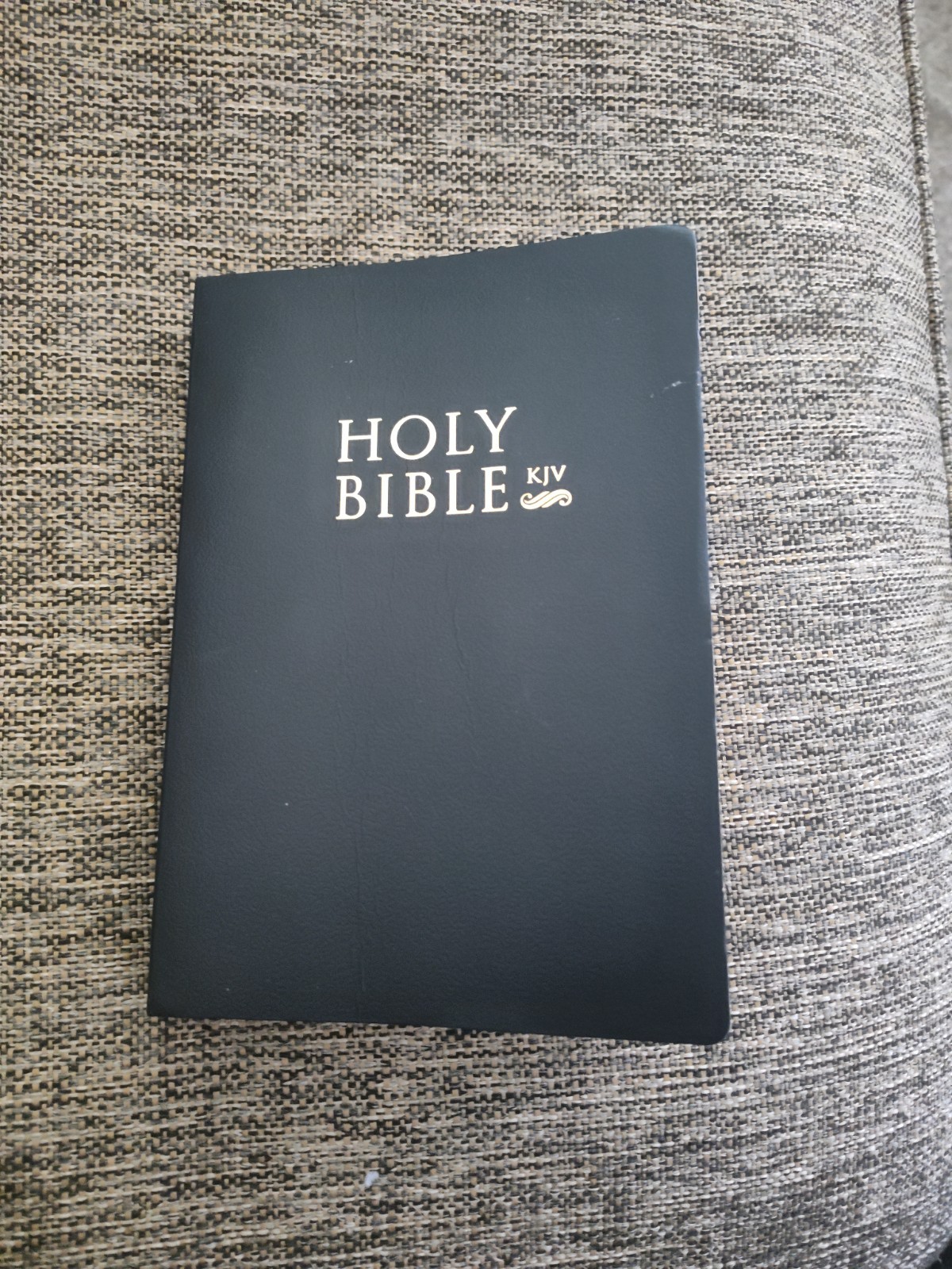 Holy Bible KJV Paperback 2023 English Religious & Spiritual Christianity Adult