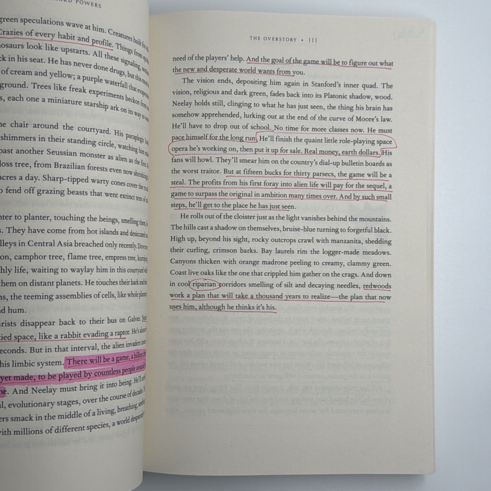Overstory : A Novel Richard Powers 2019 Paperback Pulitzer National Book Award