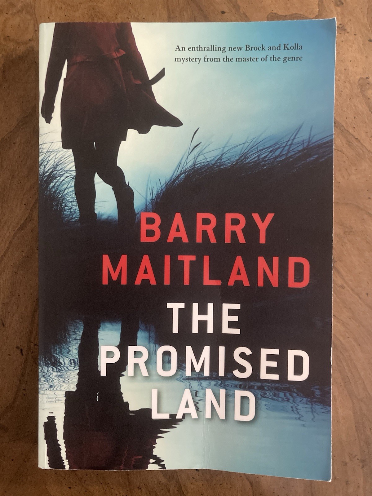 Promised Land by Barry Maitland (2019, Trade Paperback) – GOOD