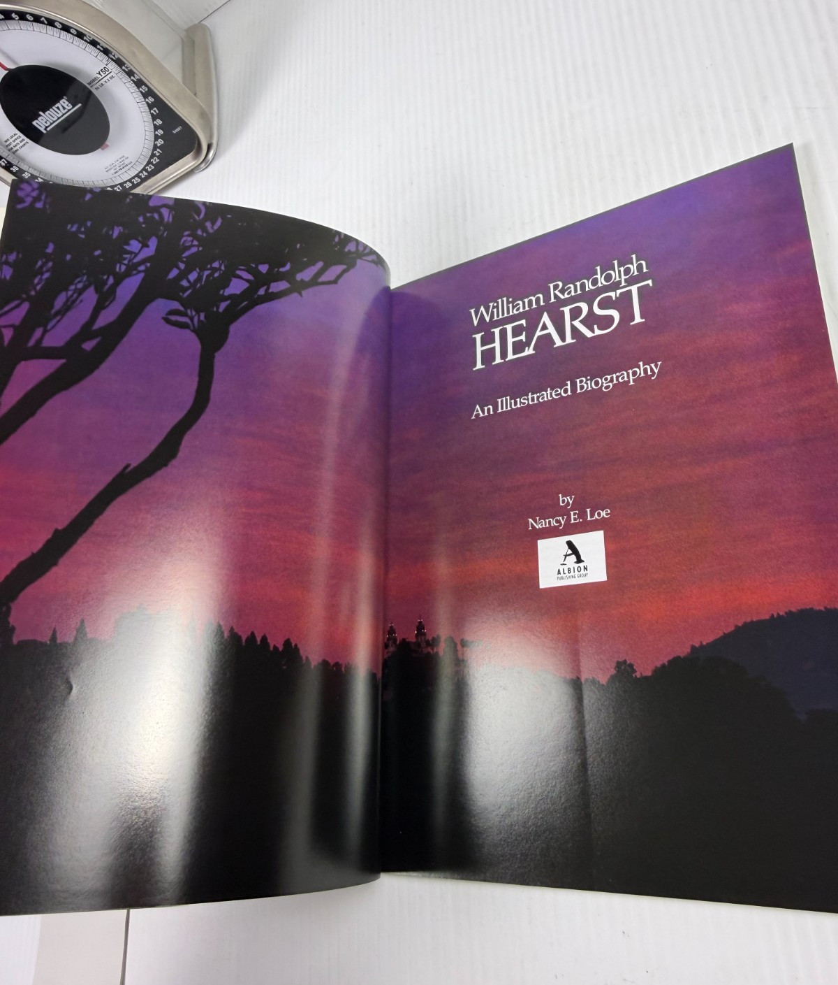 William Randolph Hearst An Illustrated Biography by Nancy E. Loe NEW Book