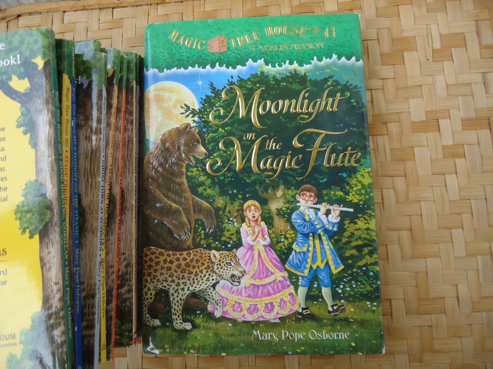 Magic Tree House Lot 11 Books Mostly PB No Repeats Childrens Historical Fiction