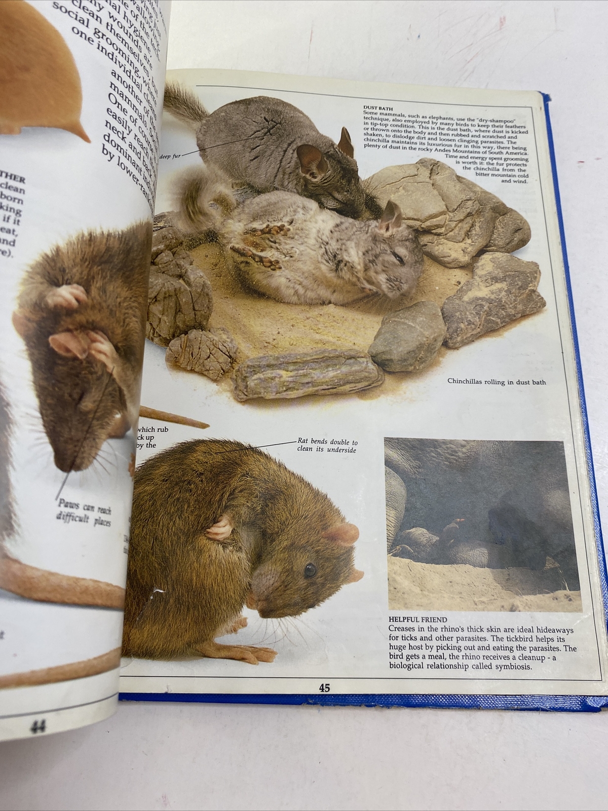 Mammal – Steve Parker (Hardcover, 1989)
