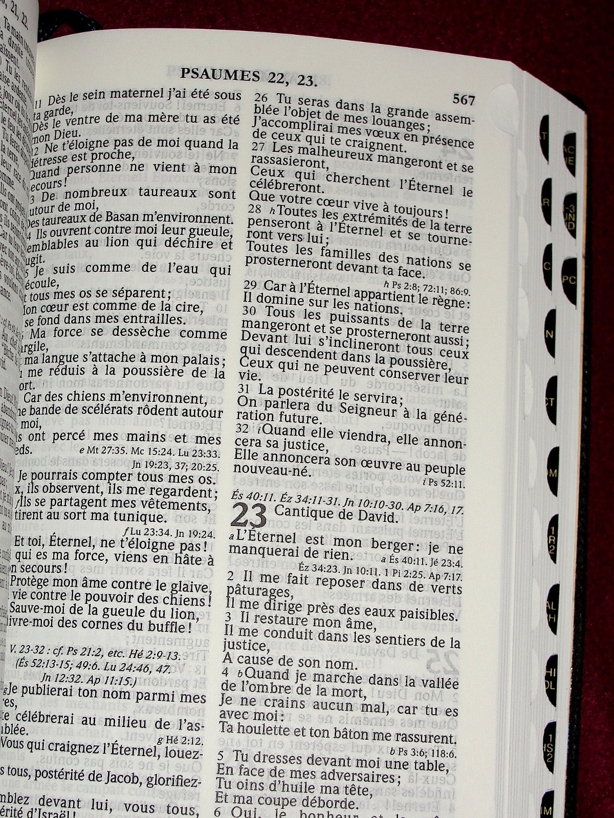 French Bible, La Sainte Bible – Segond 1910 Blue Vinyl, Handheld Thumb Index