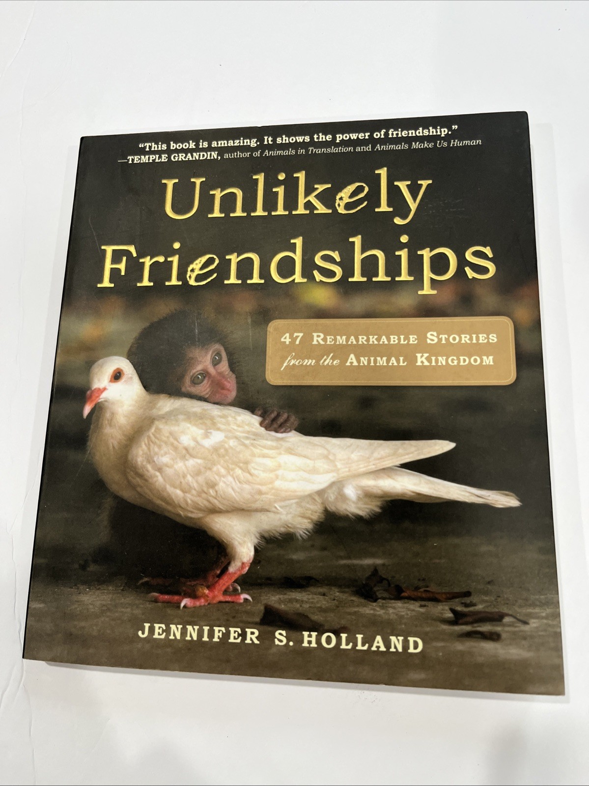 Unlikely Friendships : 47 Stories Animal Kingdom by Jennifer S. Holland (2011