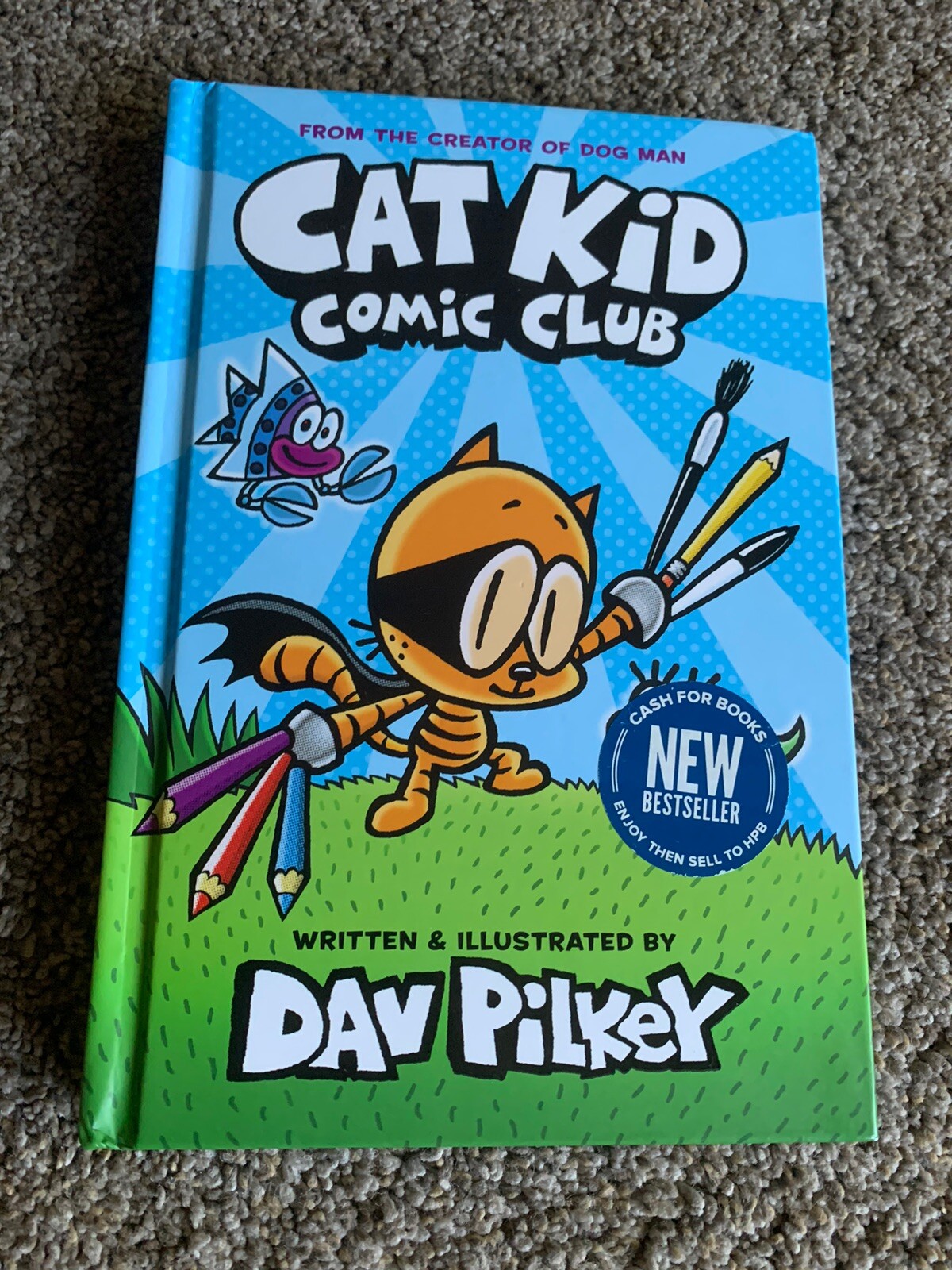 Chapter Books-Wimpy Kid-Dog Man-Cat Kid-Captain Underpants Lot Of 13 HB & PB