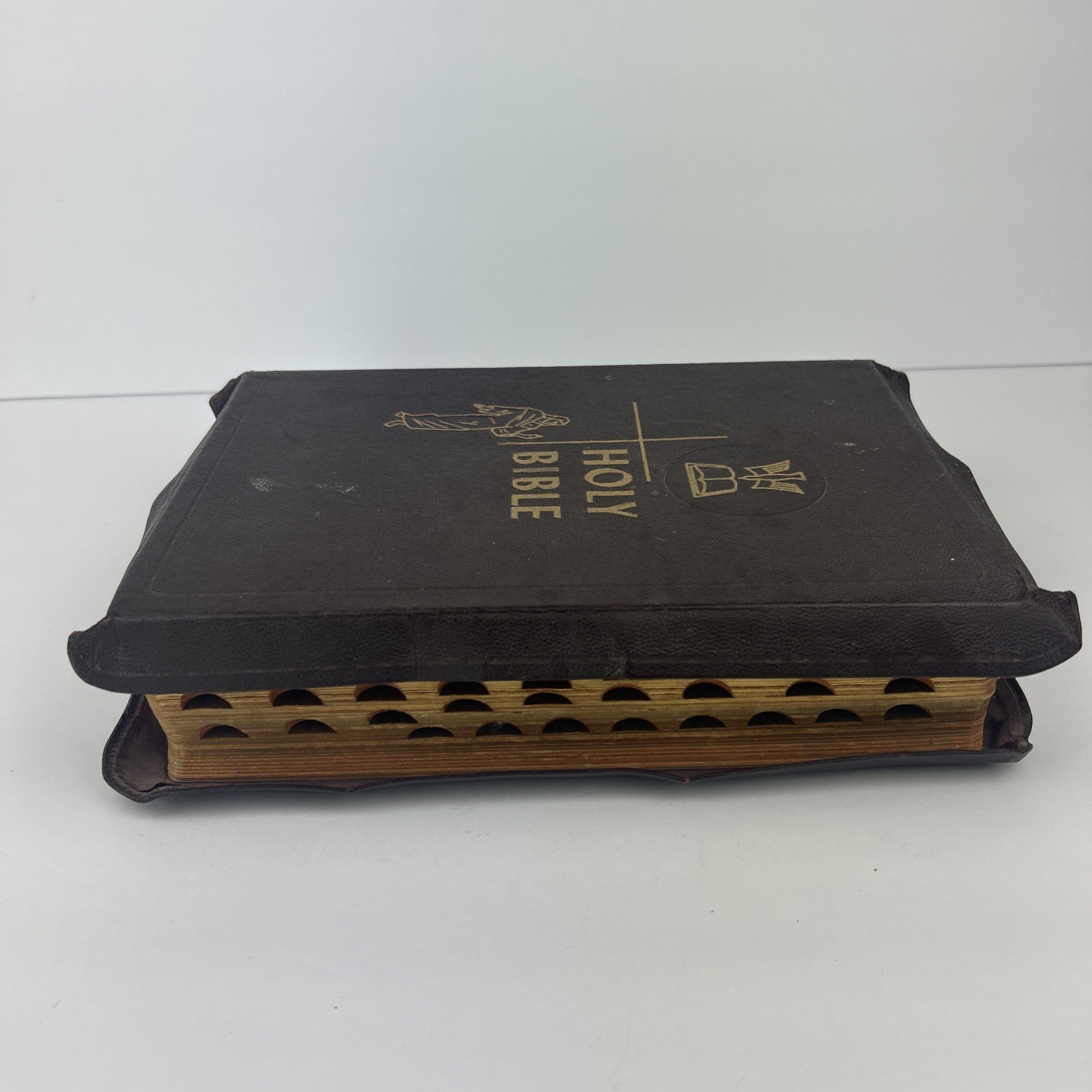 The Holy Bible: Holy Family Edition 1950 The Catholic Press Vintage Illustrated