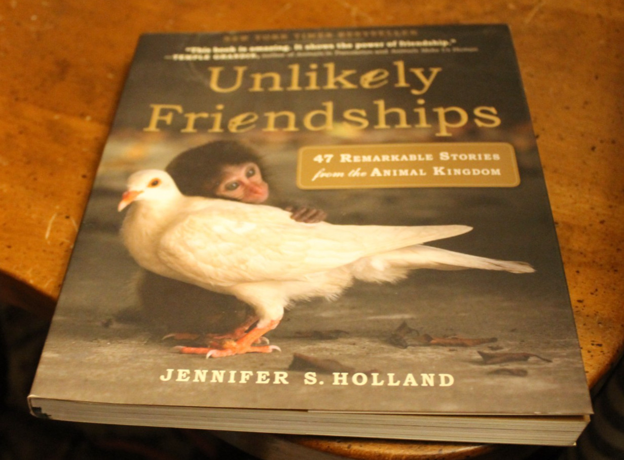 Unlikely Friendships ~ Jennifer S. Holland ~ Workman Softcover 13PR