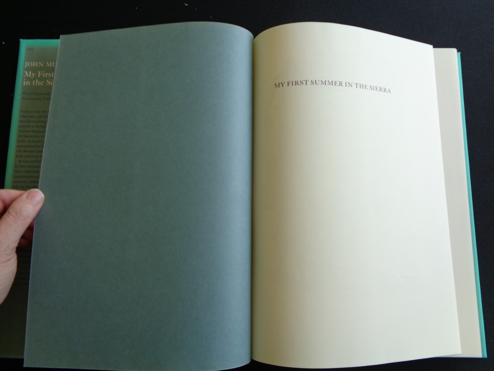 John Muir My First Summer in the Sierra 1988 Wood Engravings by Michael McCurdy