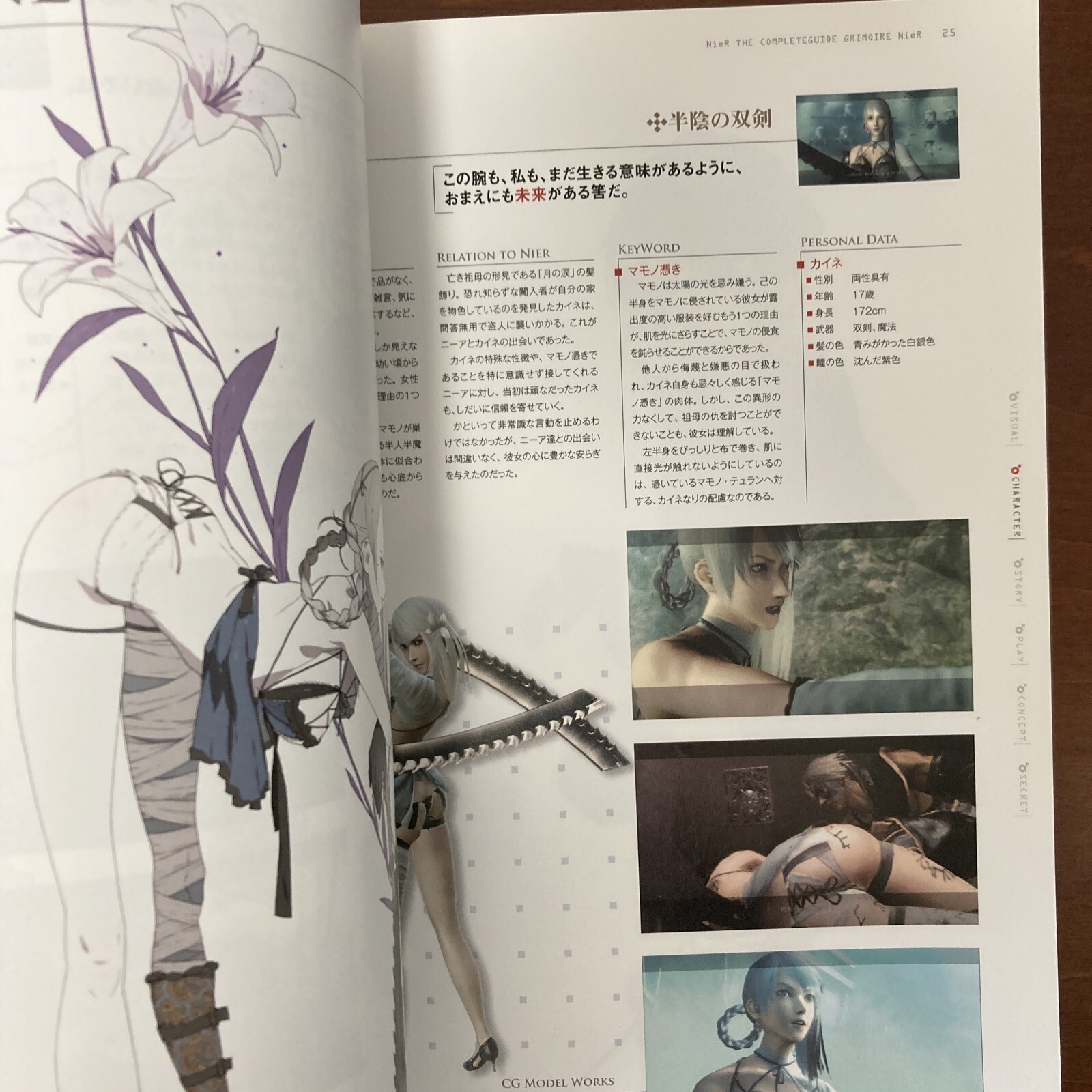 Grimoire NieR Guide Book Art Book Illustration