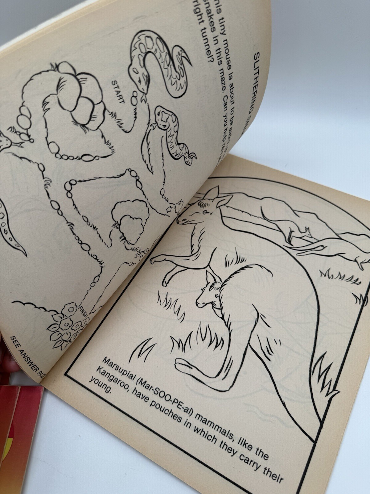 Vintage Lot of 5 DINOSAUR Coloring Books Most Unused But One Has Marks