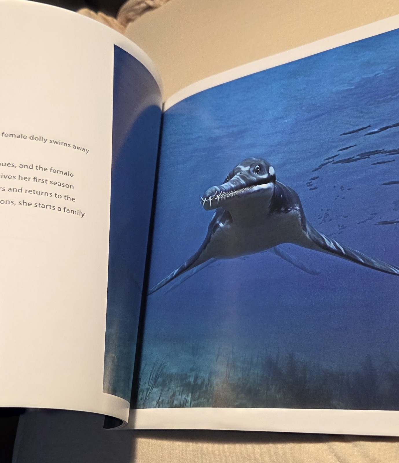 Sea Monsters Prehistoric Adventure