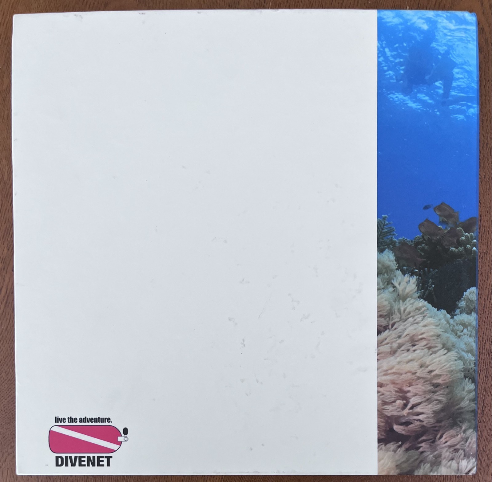 Philippines Diving: Anilao Batangas Verde Island Passage Coral Reef Photography