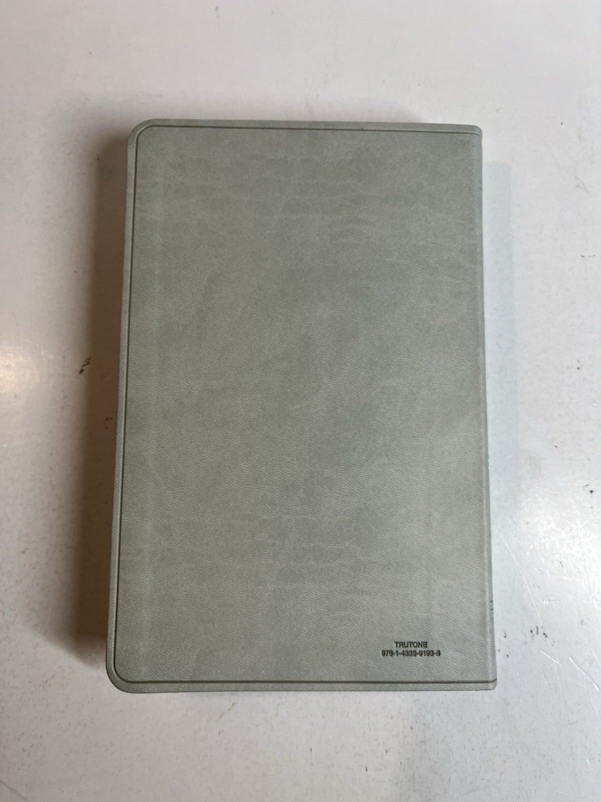 ESV Large Print Value Thinline Bible (Trutone, River Stone, Branch Design)