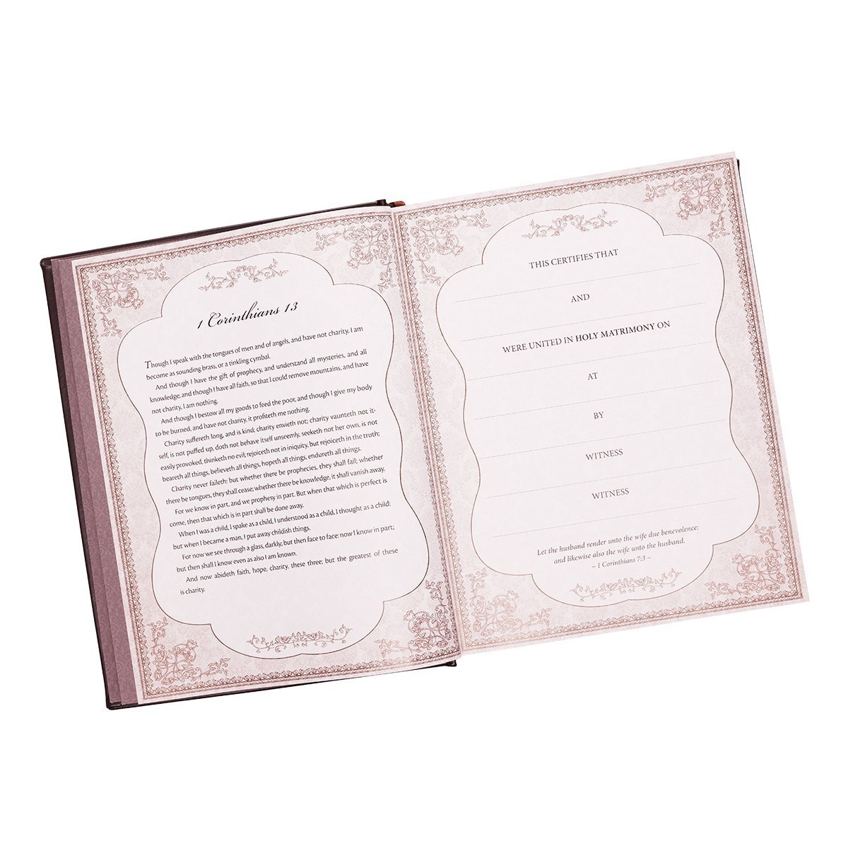 The Holy Bible King James Version Gustave Dore Illustrated Family Bible