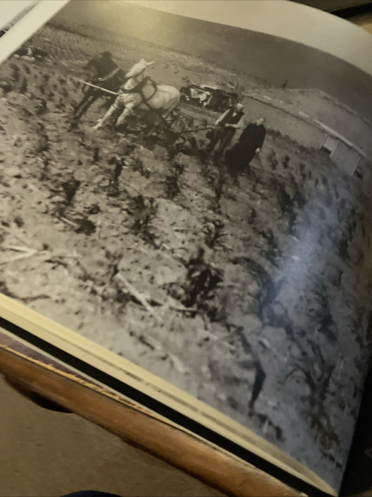 Frontier Family Life: A Photographic Chronicle of the Old West 127 Pages