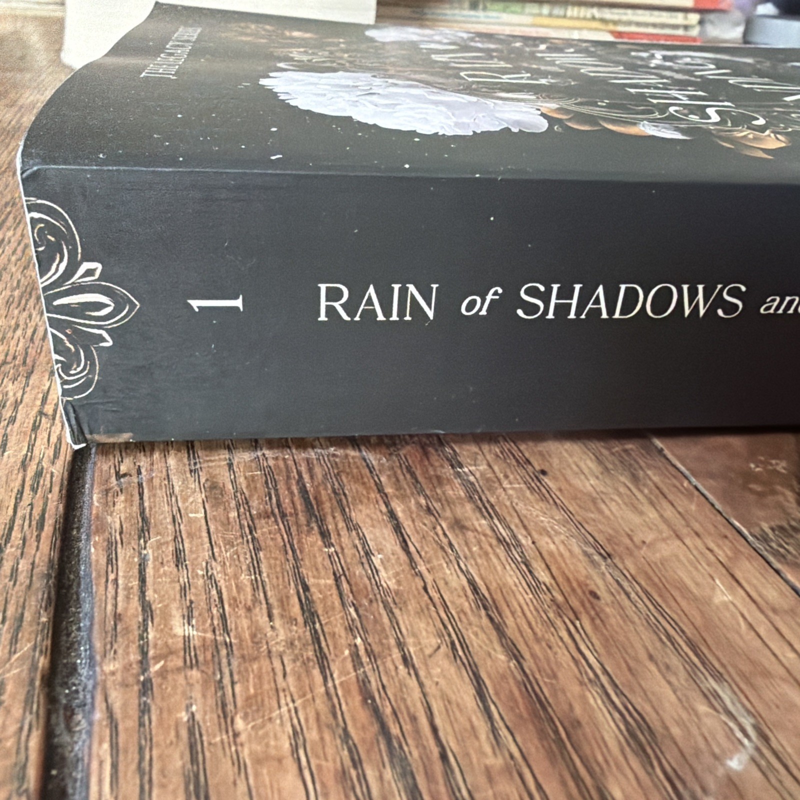 Rain of Shadows and Endings by Melissa K. Roehrich Paperback Legacy series #1