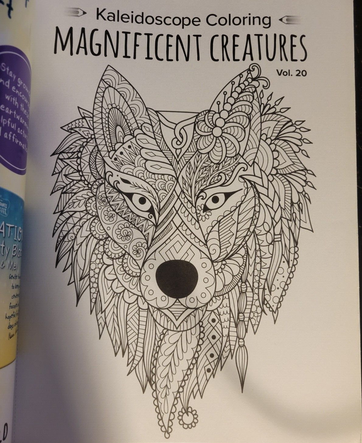 MAGNIFICENT CREATURES Vol 20 – Adult Coloring Book by TOPIX MEDIA – 47 PRINTS