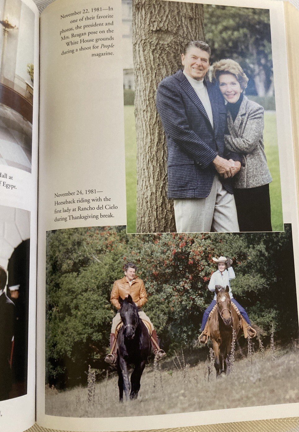 The Reagan Diaries Edited By Douglas Brinkley Centennial TP Edition 2011