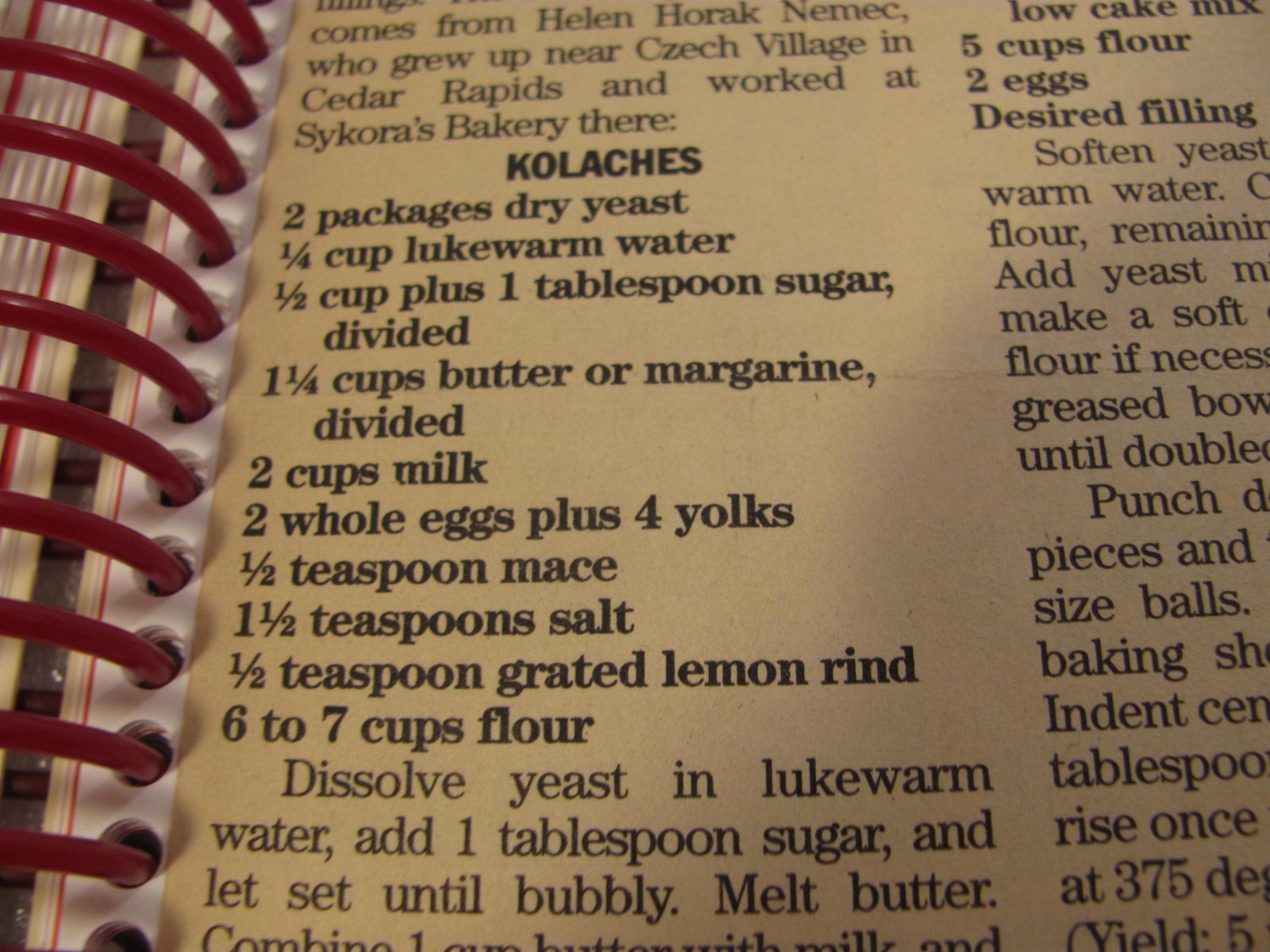 Czech Slovak Museum Cook Book Cedar Rapids Iowa Kucharka Traditional Recipes 250