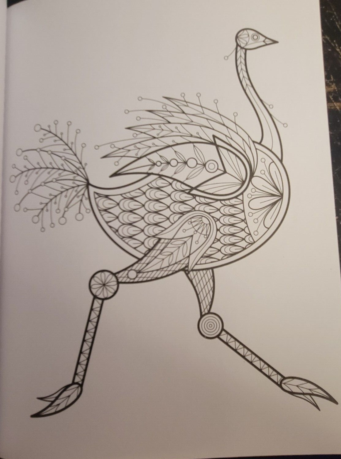 COLORS OF THE WILD Vol 22 Adult Coloring Book With 47 Prints Ready To Frame
