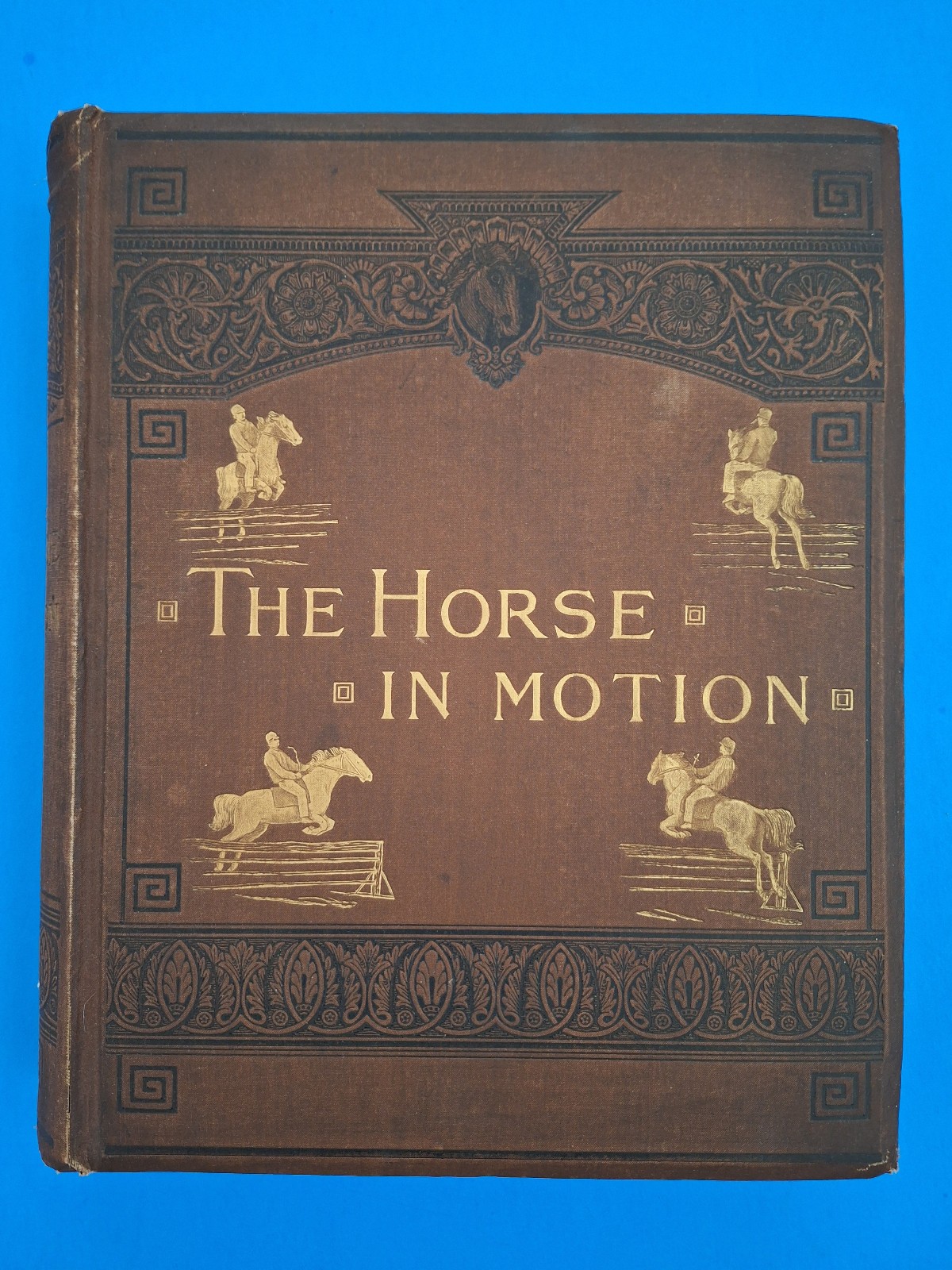 RARE c 1882 THE HORSE IN MOTION by J.D.B. Stillman Photos By Eadweard Muybridge