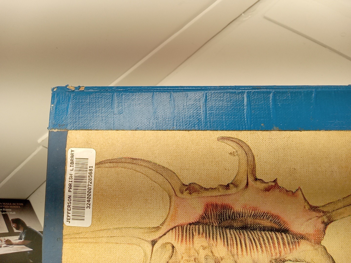 Shells By Roderick Cameron (HC, 1961) Ex Library – READ
