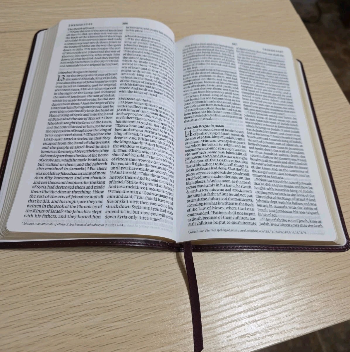 ESV Large Print Value Thinline Bible (TruTone, Mahogany, Border Design) by…