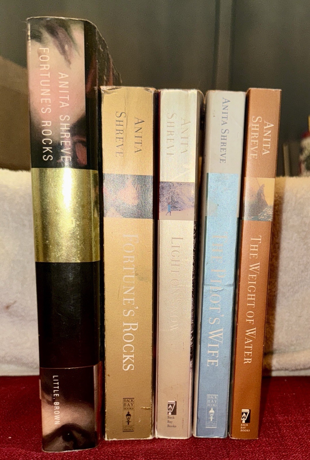Anita Shreve Fiction Lot Of 5 HC & Paperbacks Good To VG Condition