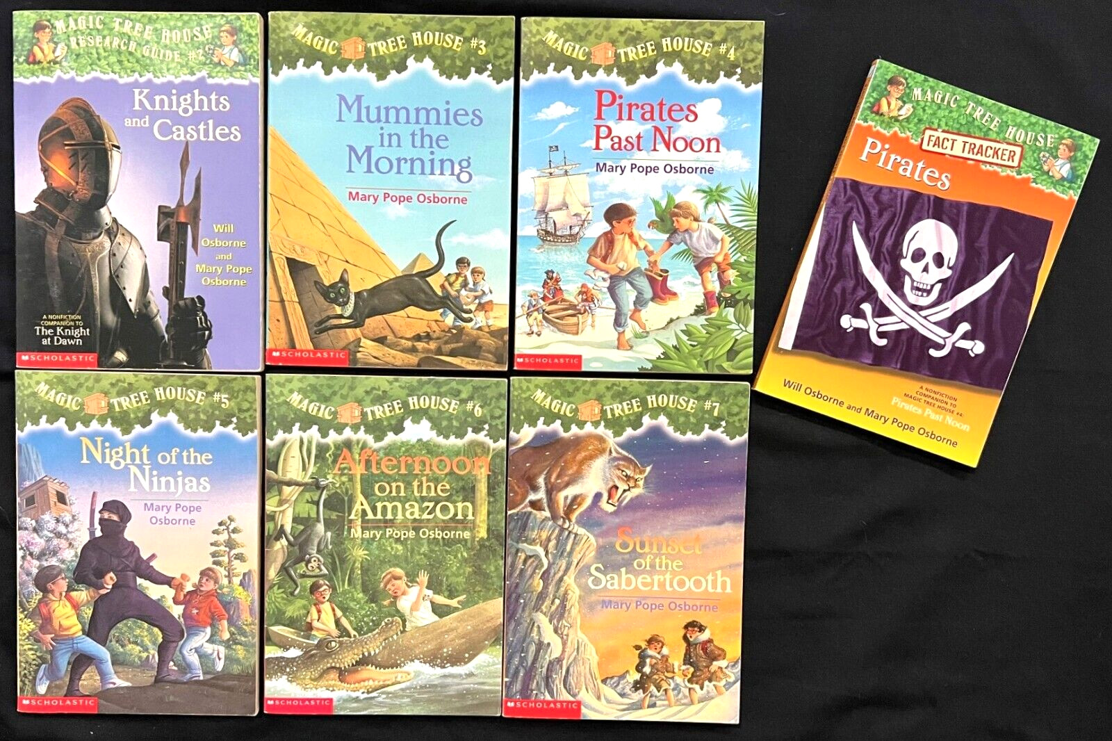 MAGIC TREE HOUSE SERIES (Books 2 – 7) *Plus additional “Pirates” book (7 books)