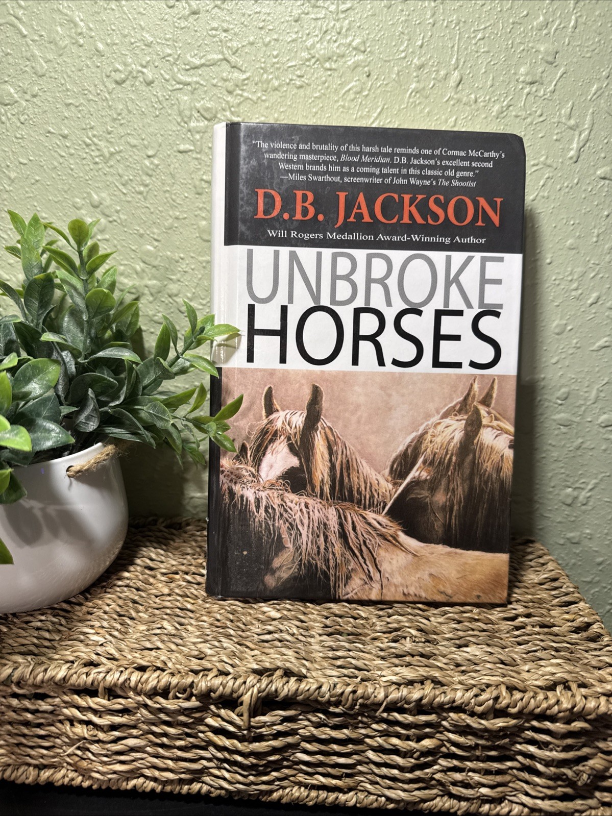 Unbroke Horses Hardcover D. B. Jackson