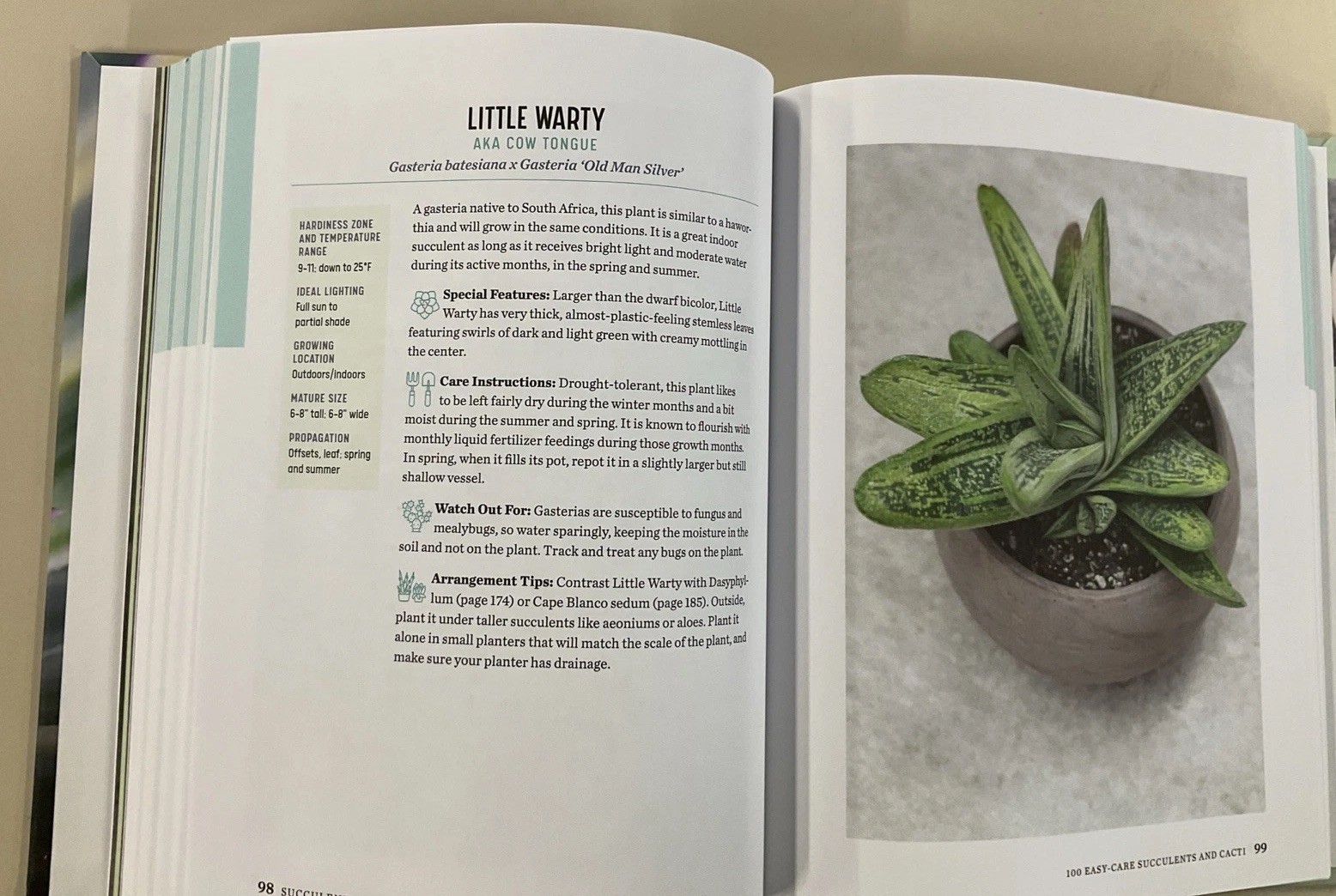 Succulent Obsession Complete Guide by Ken Shelf HC 2022 Rockridge Press