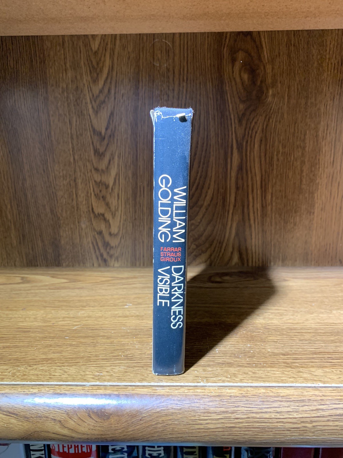 Darkness Visible William Golding 1979 First American Edition Hardcover Book
