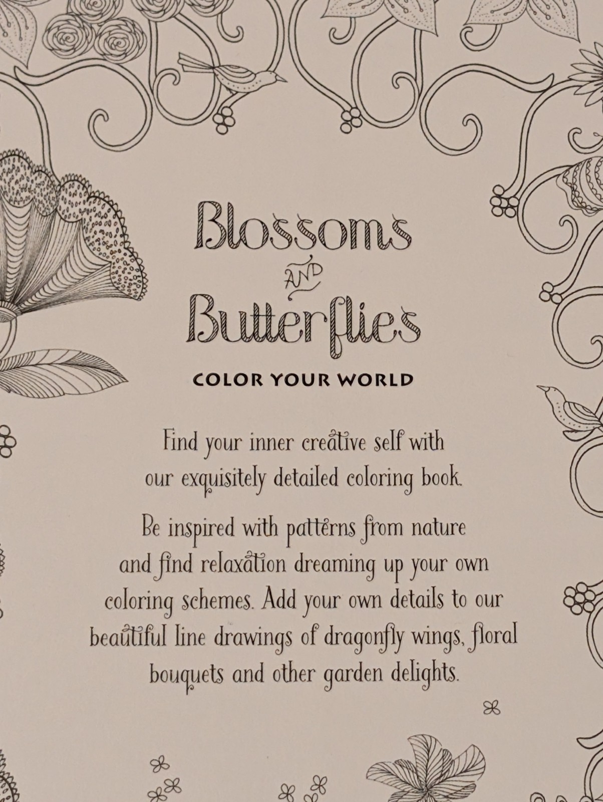 New! Blossoms And Butterflies, Color Your World (Jane Heyes) intricate coloring