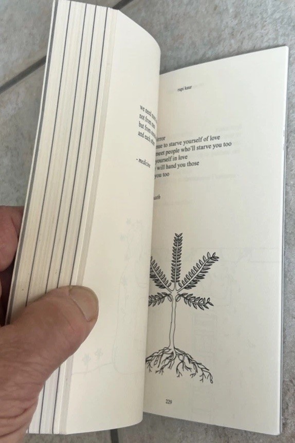 THE SUN AND HER FLOWERS BY RUPI KAUR