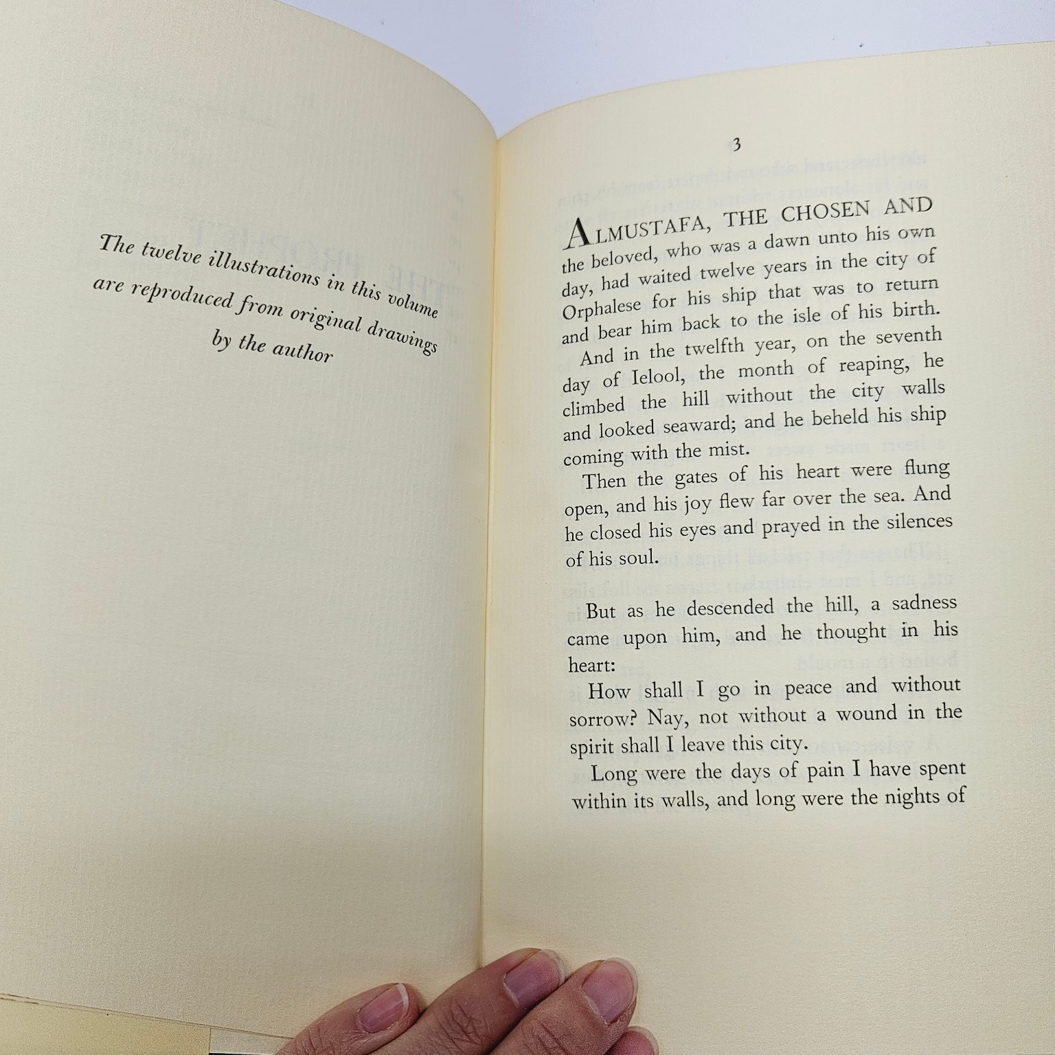 The Prophet by Kahlil Gibran 1982 Illustrated Borzoi Book HCDJ