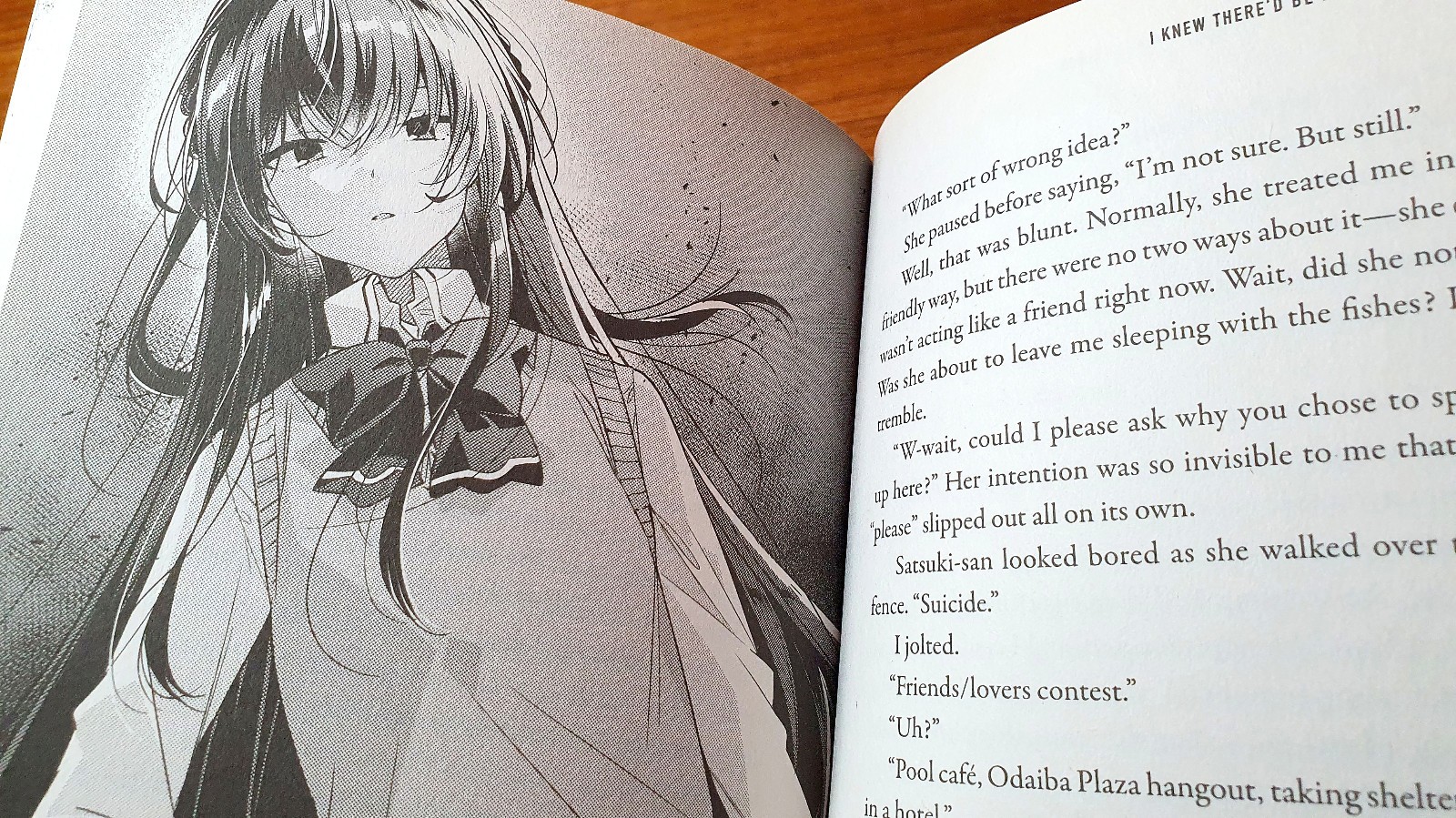 There’s No Freaking Way I’ll Be Your Lover! Unless… Volume 1 Light Novel