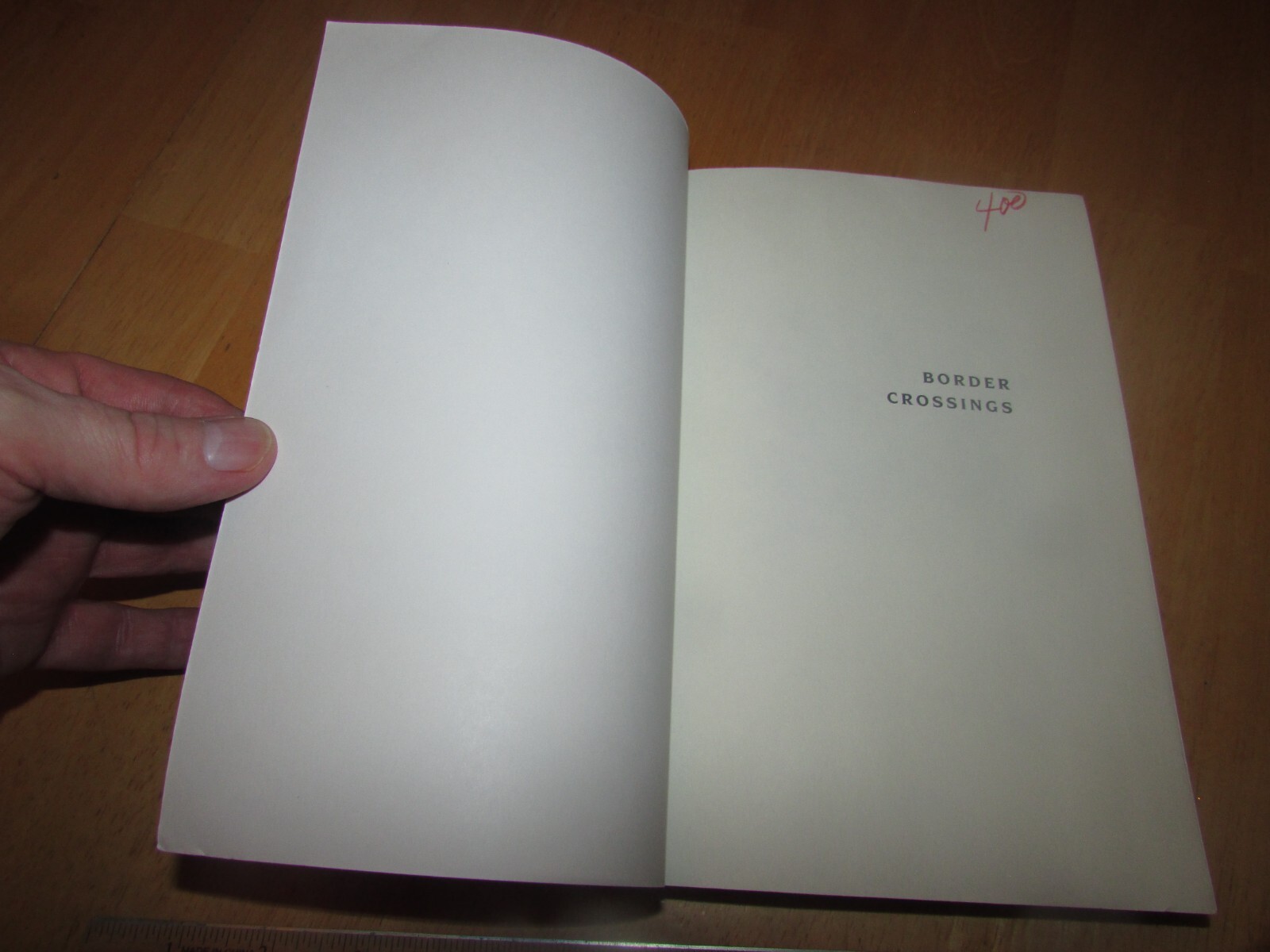 Border Crossings by David L. Fleming (1993, Trade Paperback)