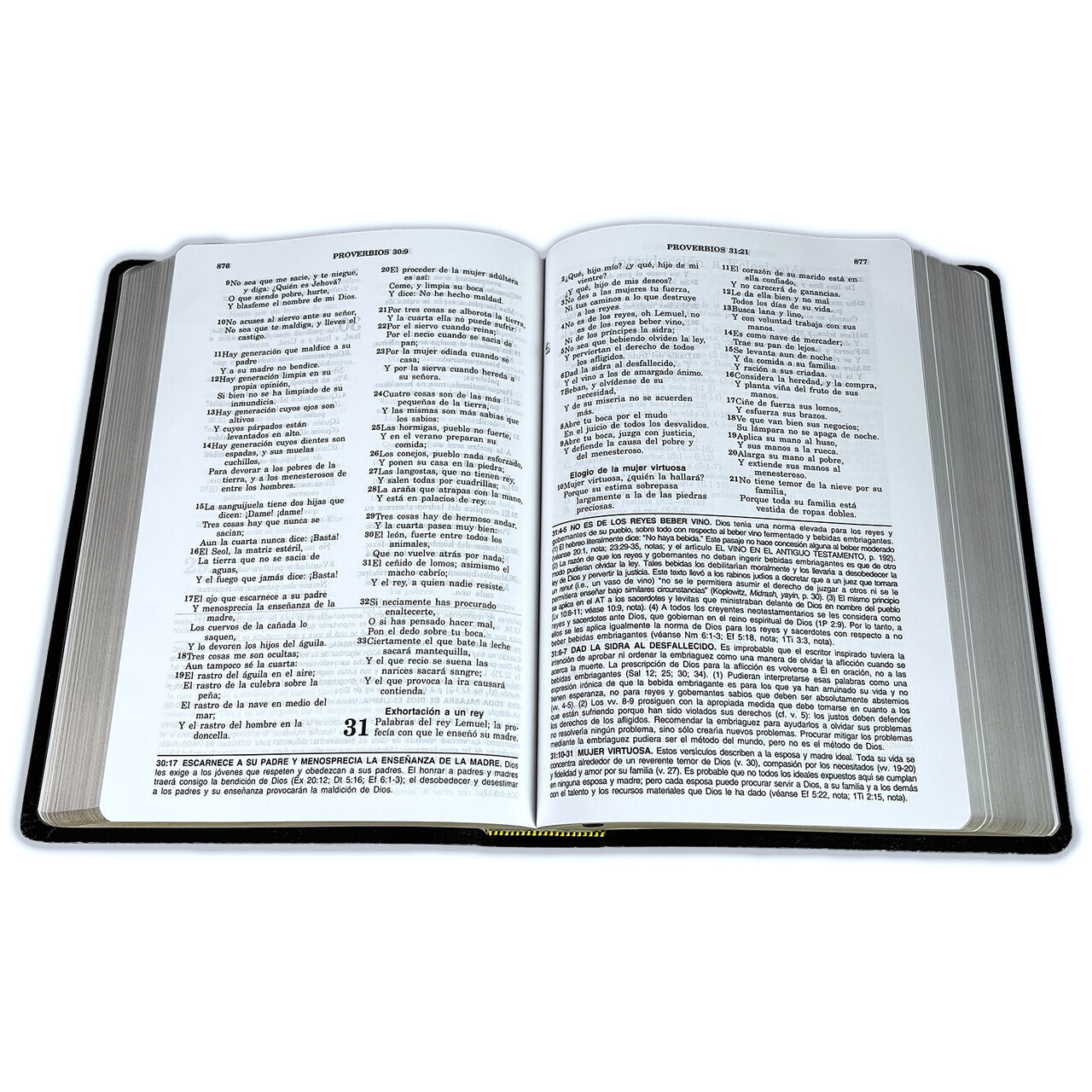 Biblia Pastoral de Estudio Vida Plena imit. piel negro – pentecostal