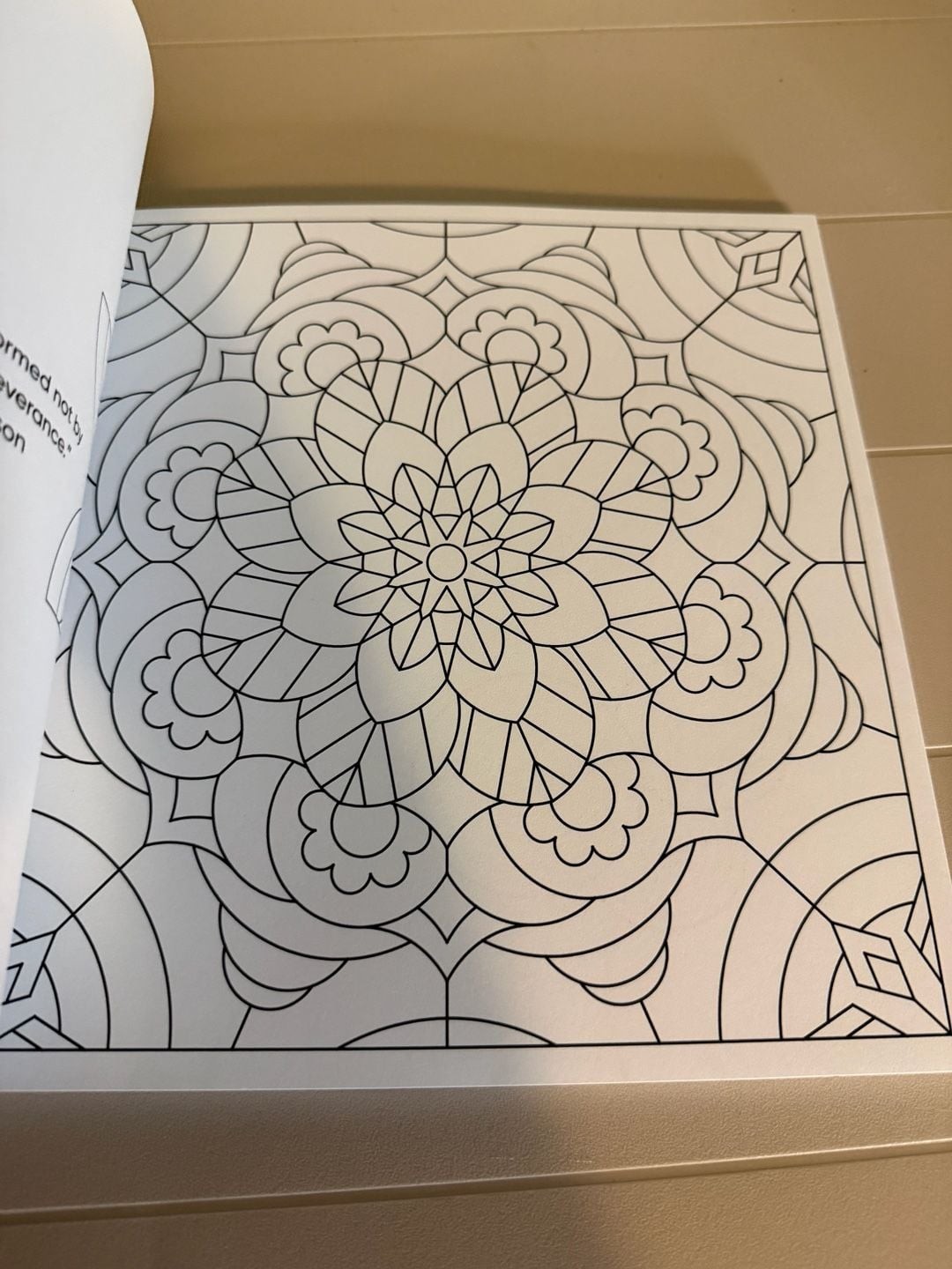 New Seasons Calm Coloring Adult Stress Relief Activity Book