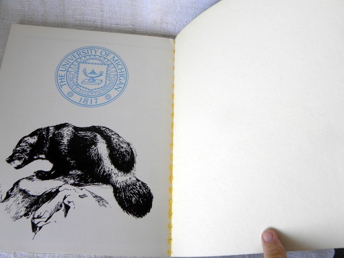 1879-1979 MICHIGAN FOOTBALL The First 100 Years 127 Pages