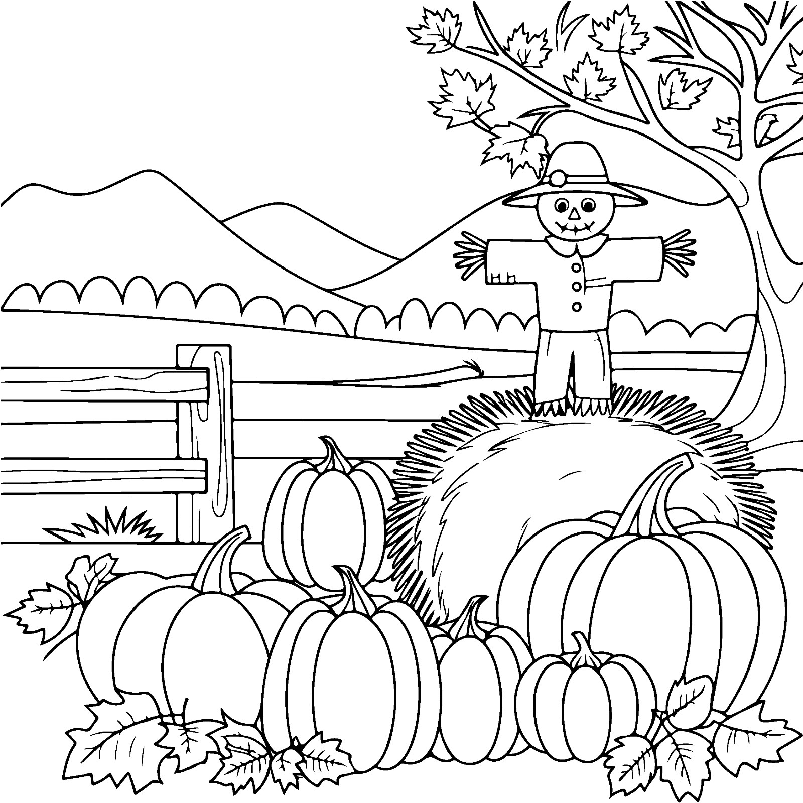 Fall Vibes Coloring Book